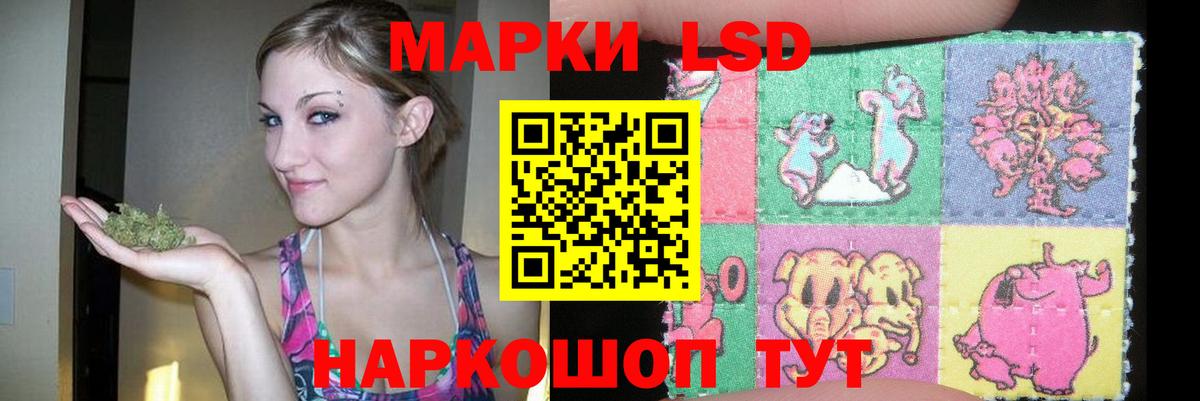 Камень-на-Оби  LSD-25 экстази ecstasy  Вход с VPN  Лсд 25 экстази ecstasy 