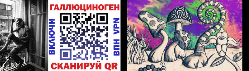 Галлюциногенные грибы MAGIC MUSHROOMS  Камень-на-Оби 
