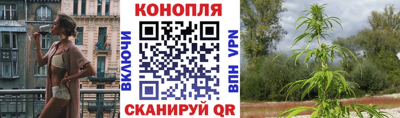 Бошки Шишки гибрид  сколько стоит  Камень-на-Оби 